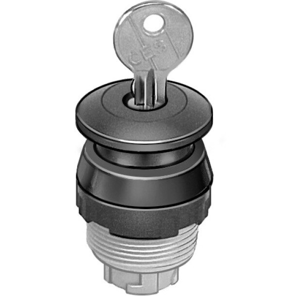 PRS-30-RT Schlag-Rasttaster
